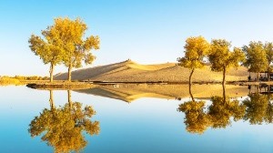赛里木湖